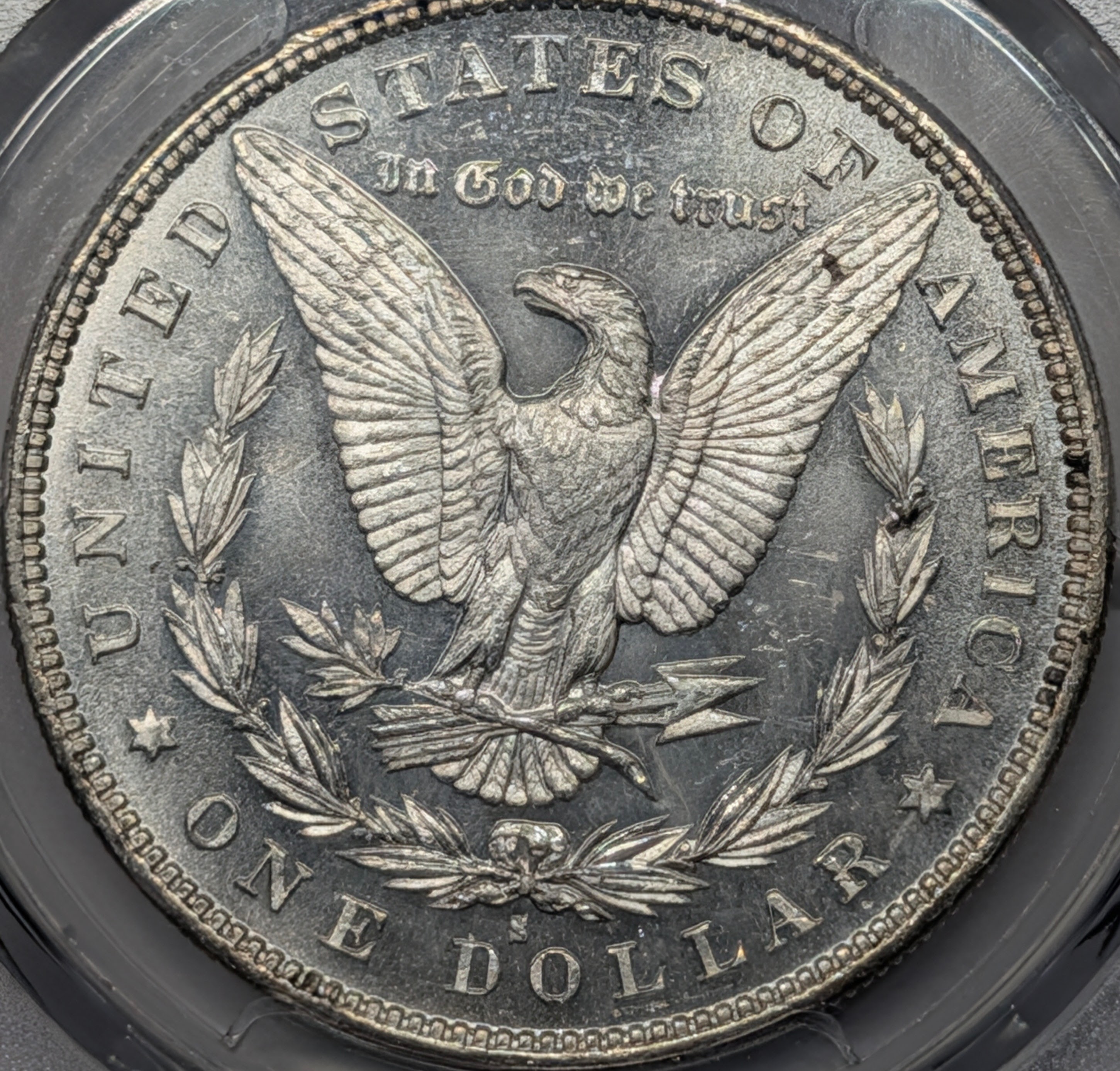 mpiq5p6u-03-reverse.jpg