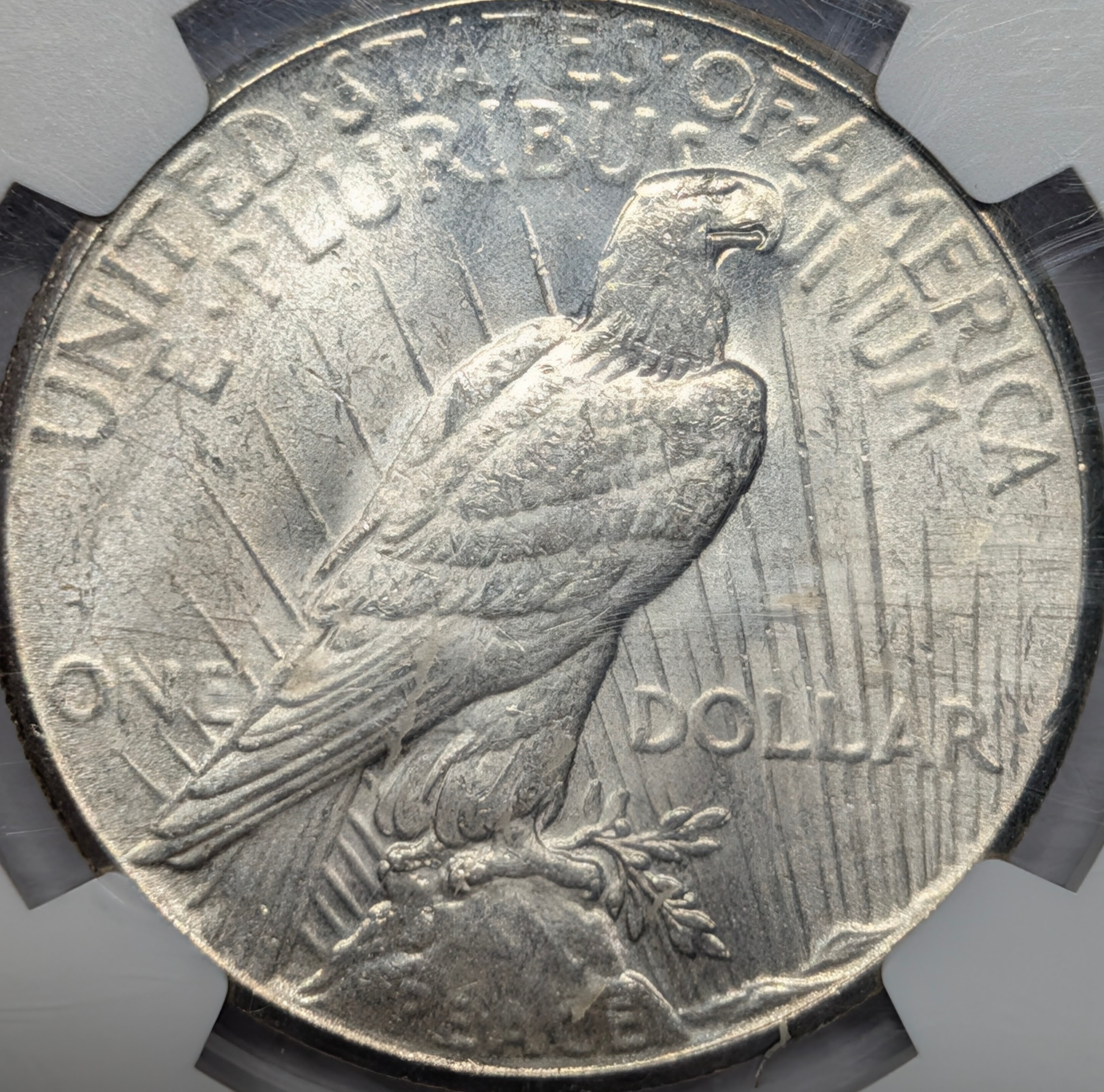 mssfhozt-03-reverse.jpg