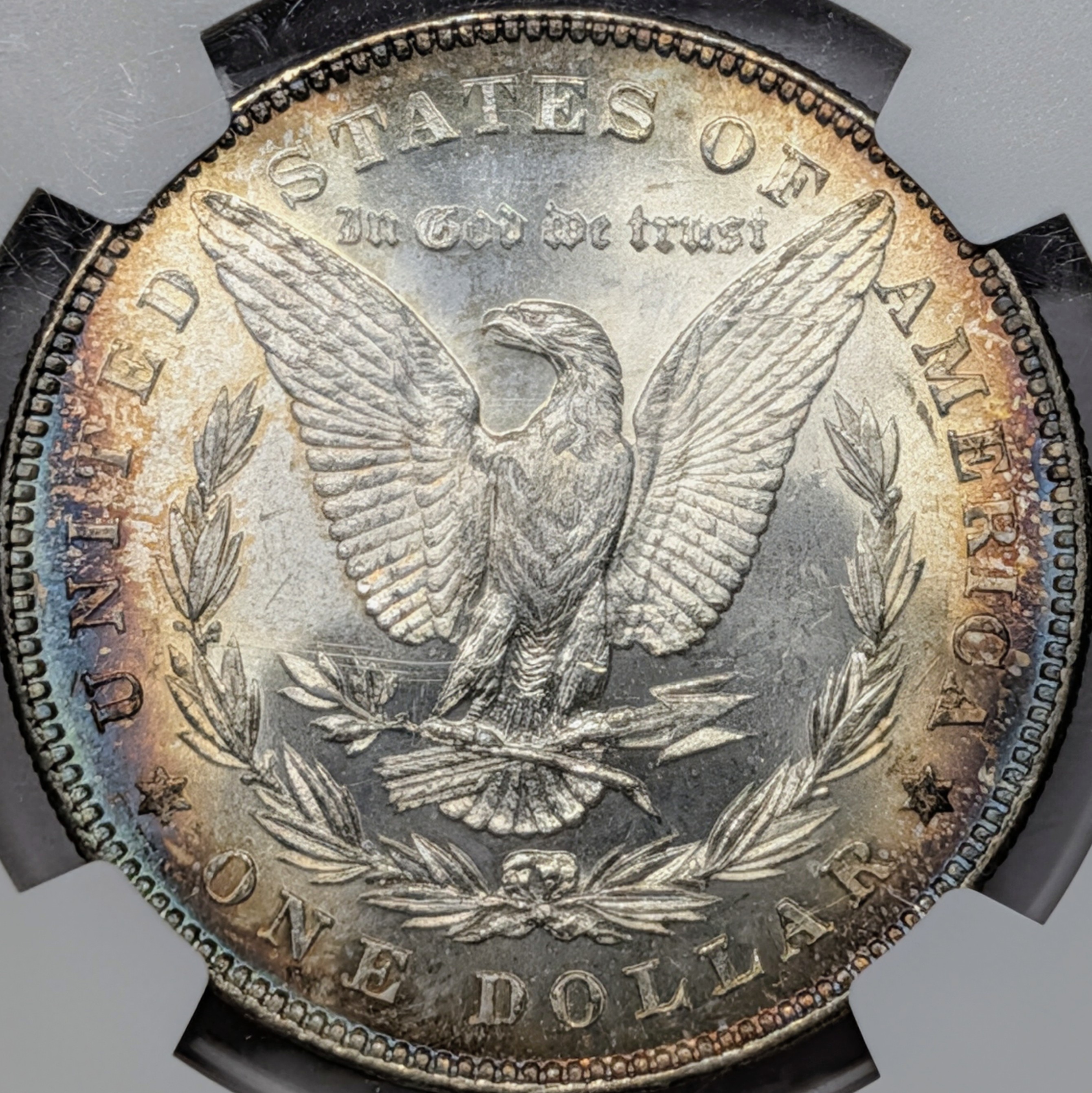 mqpitbb1-03-reverse.jpg