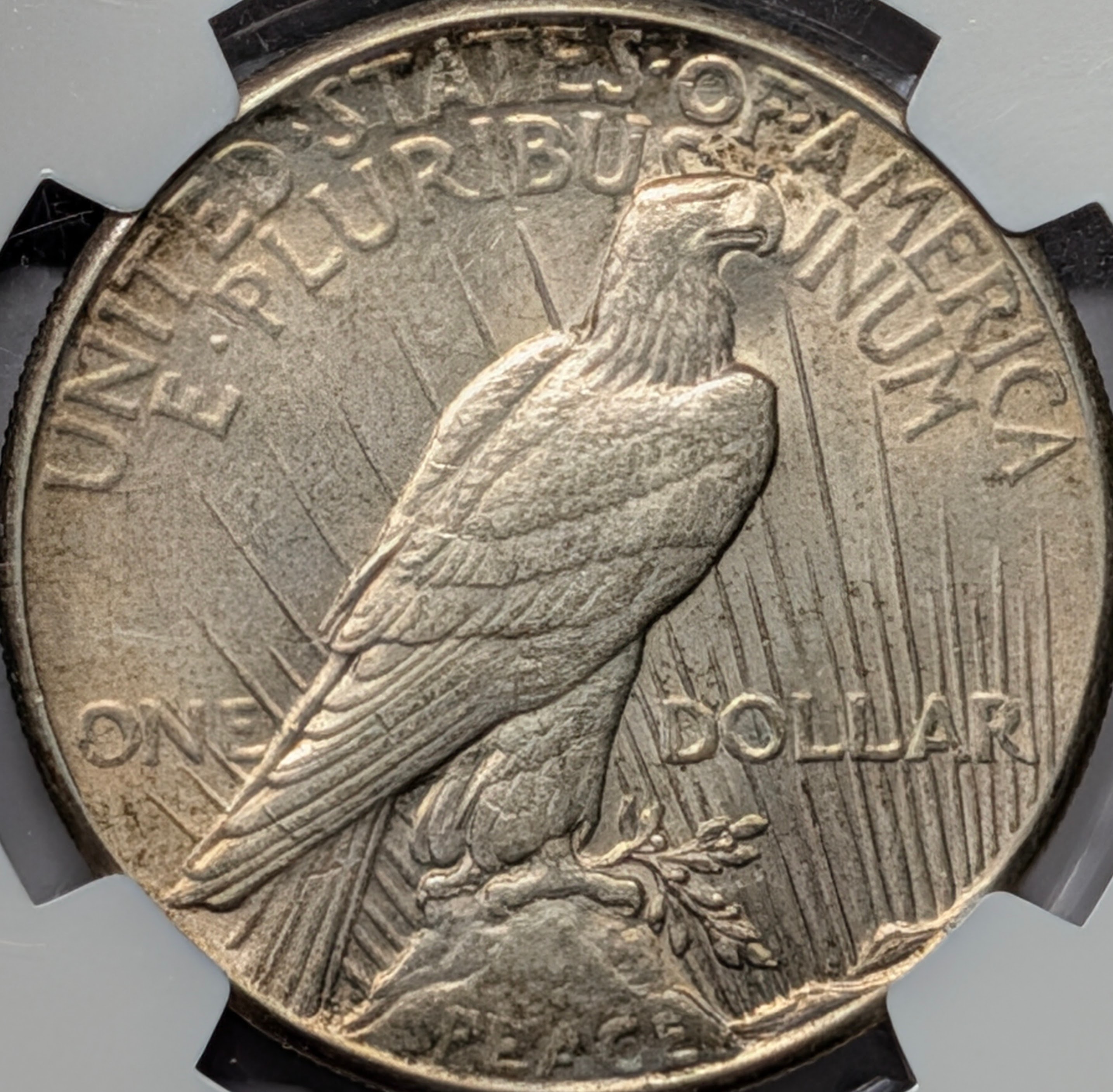 mqx9ma4d-03-reverse.jpg