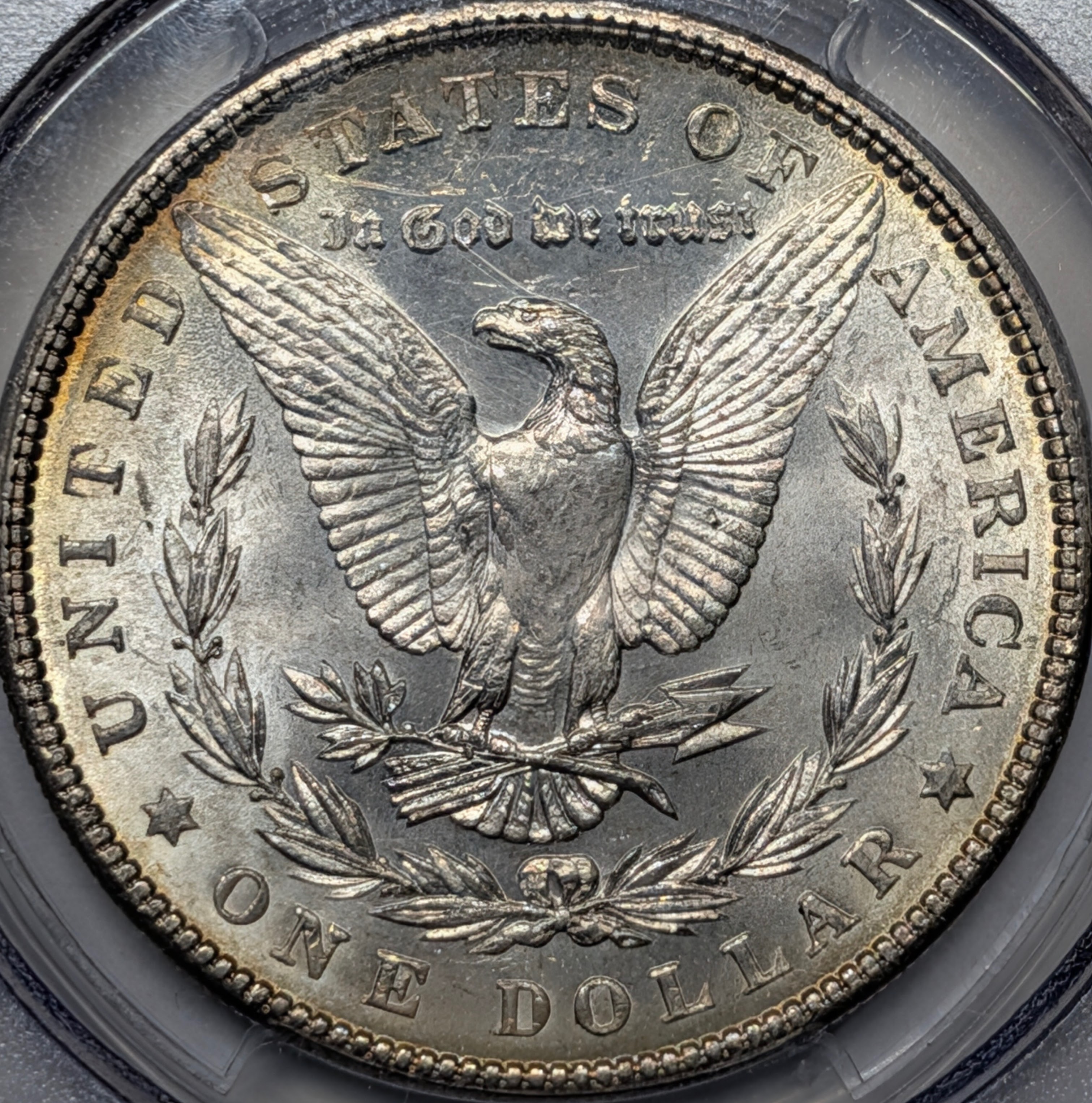 msse4vn5-02-reverse.jpg