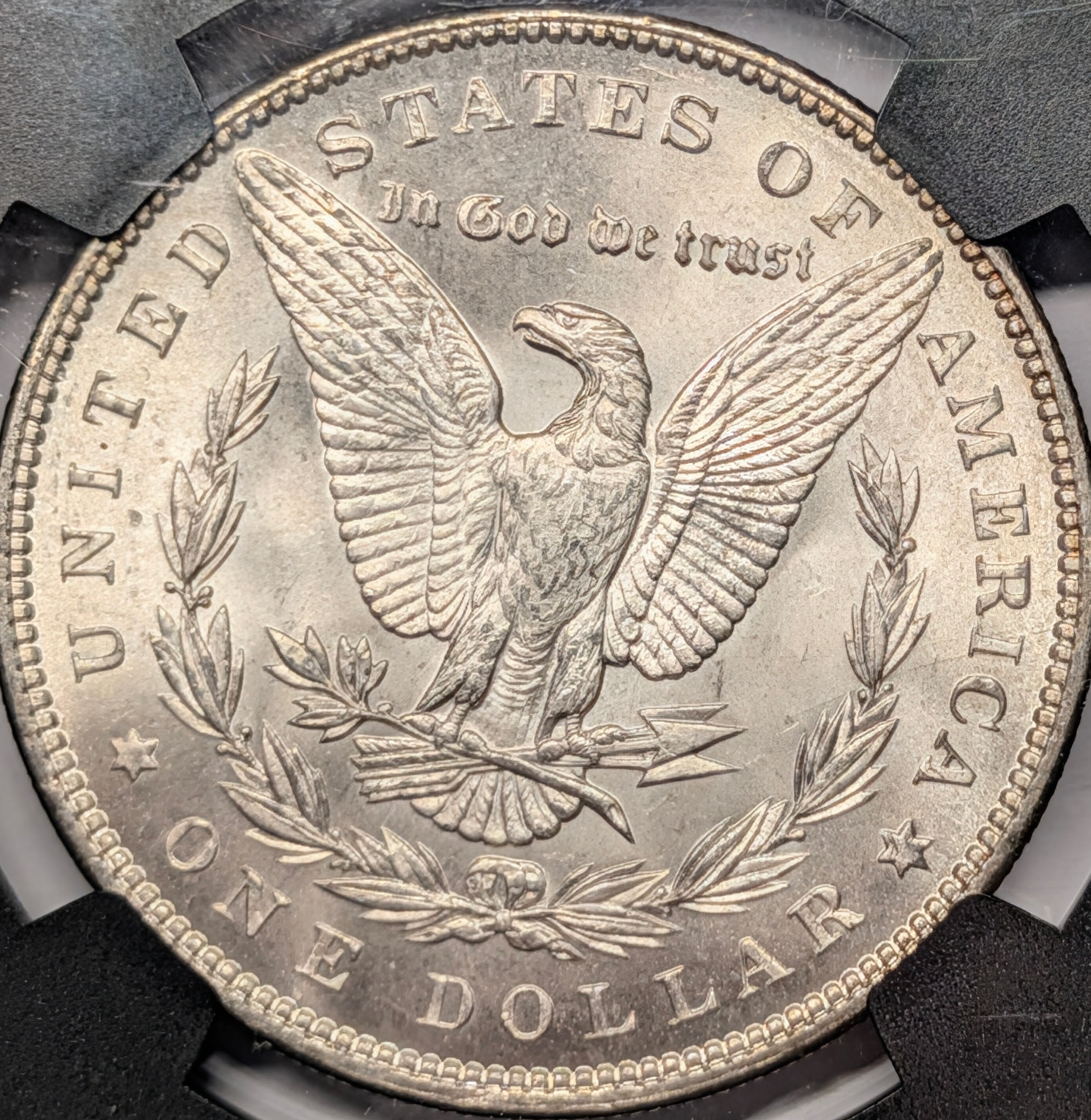 mqrj8r0f-03-reverse.jpg
