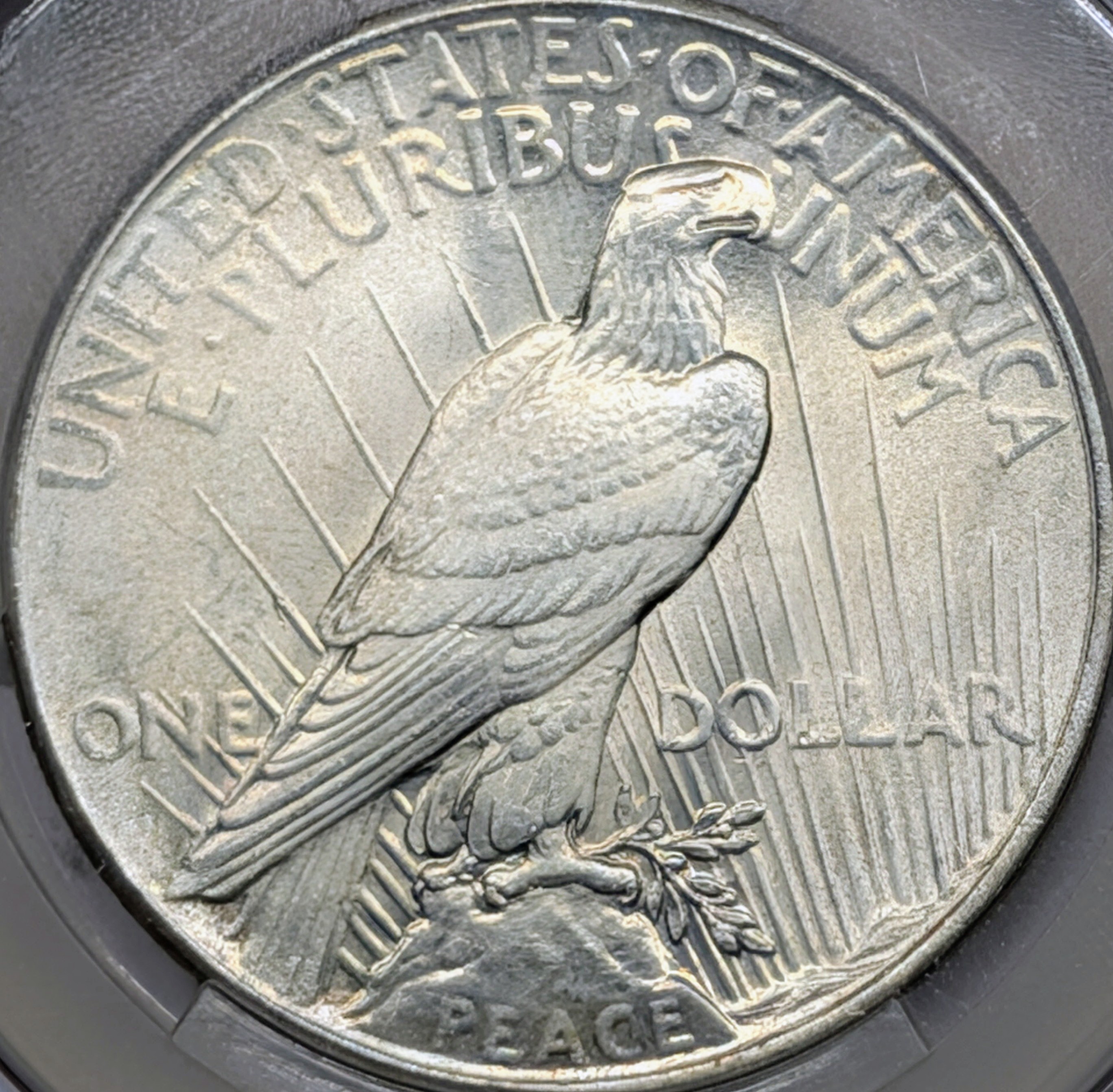 mrch7x9d-03-reverse.jpg