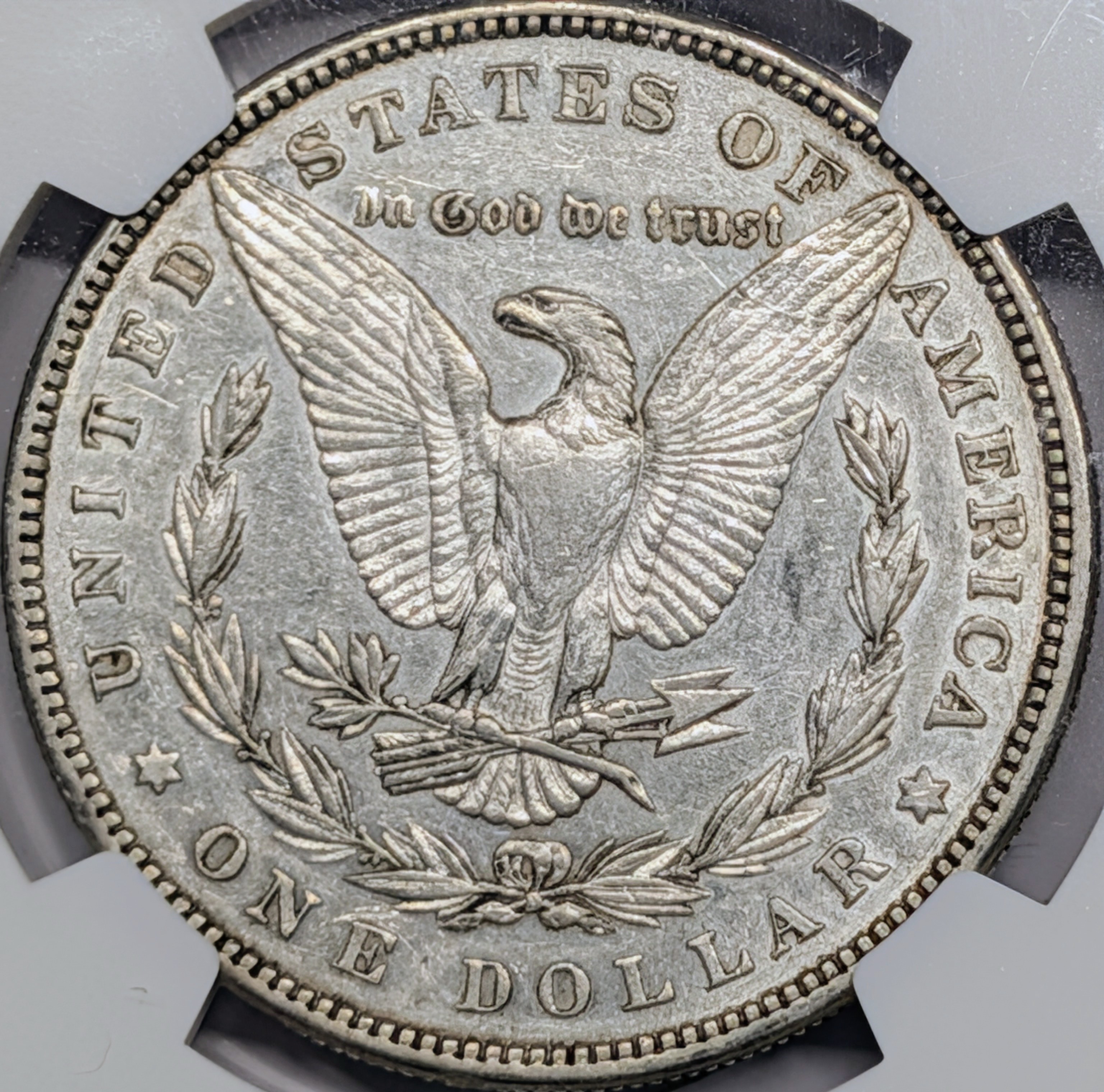 mrczdjl0-03-reverse.jpg
