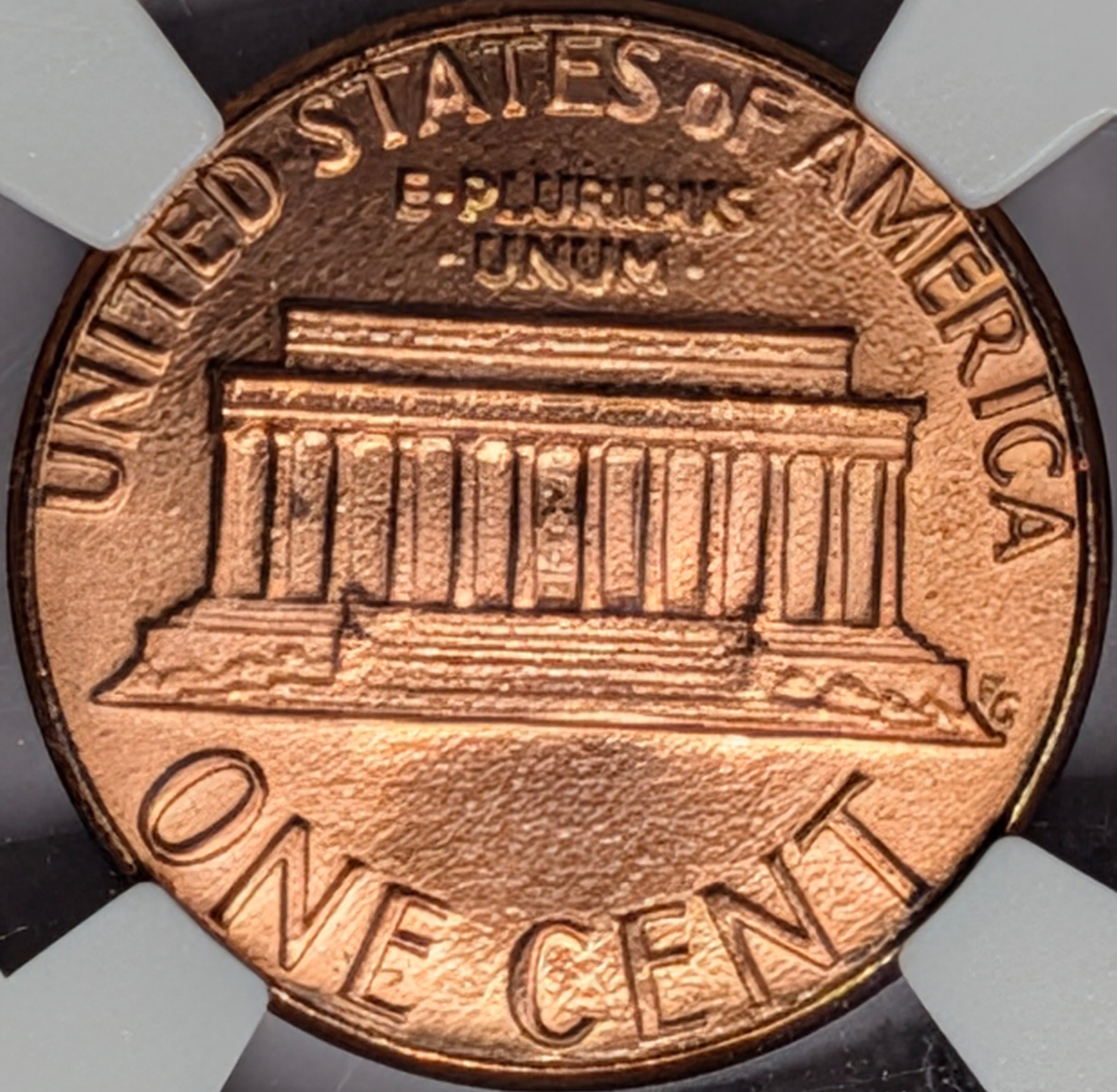 ms9aw5we-03-reverse.jpg