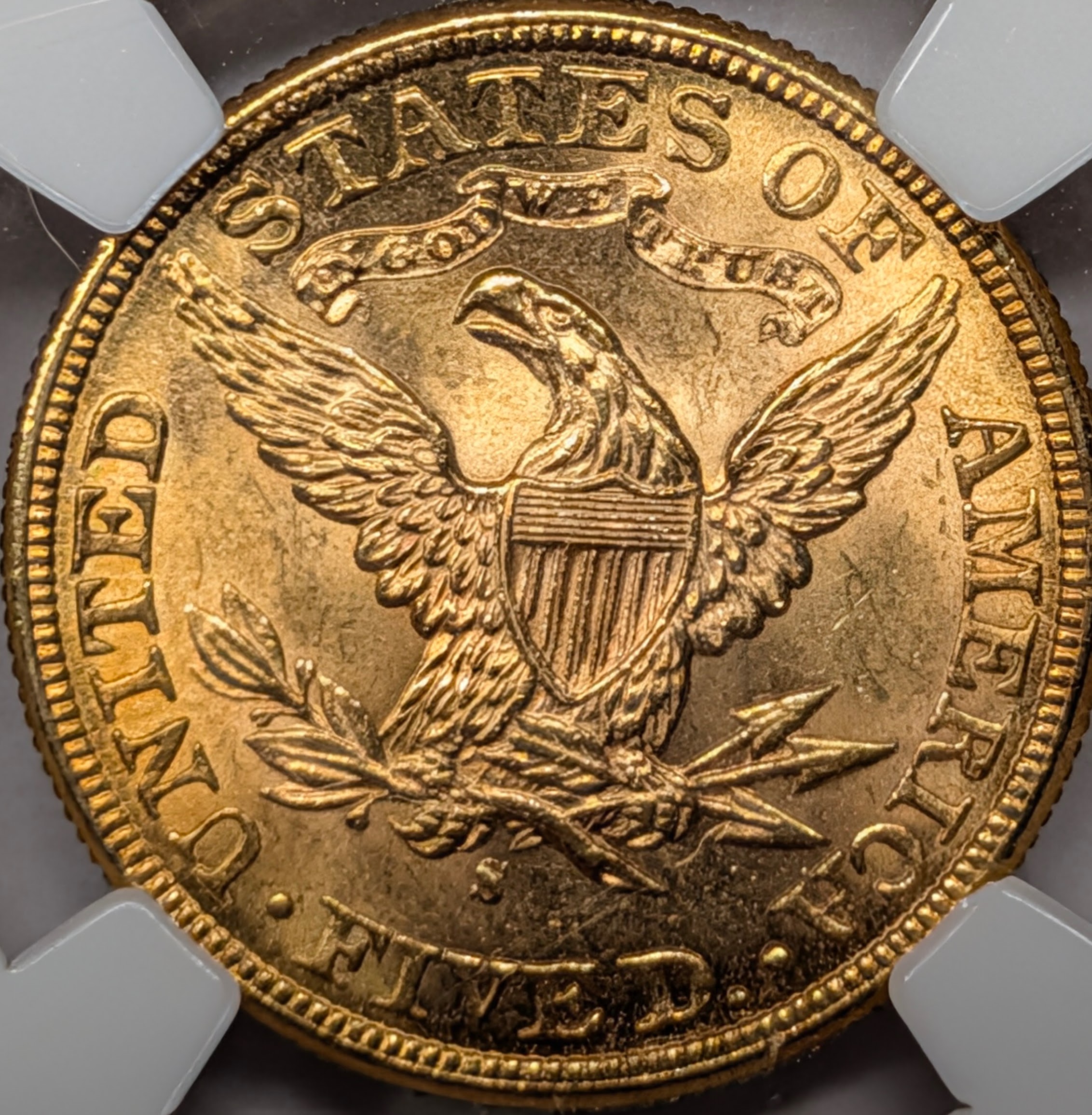 mt80pkpe-03-reverse.jpg