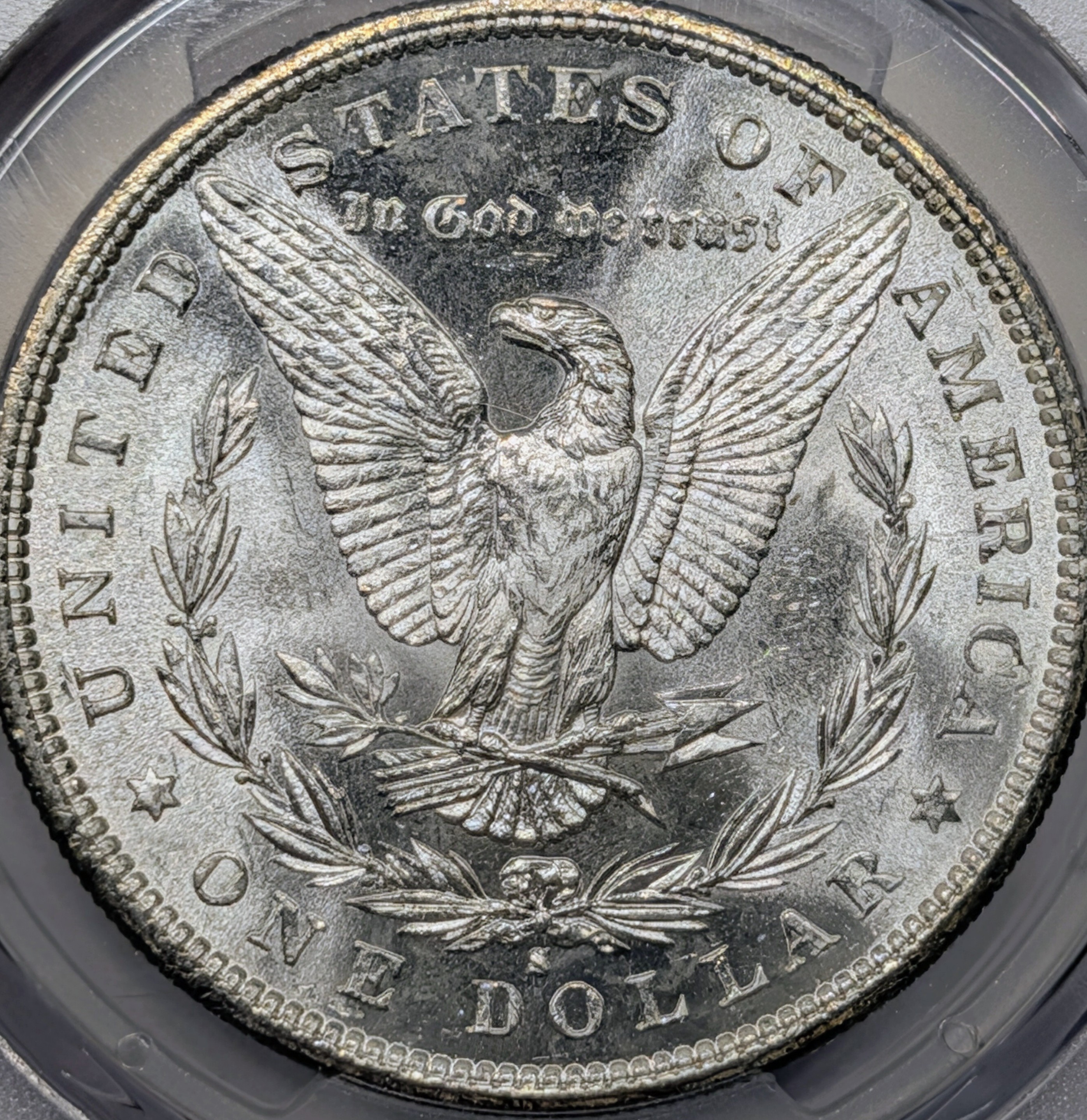 muy5h6wo-03-reverse.jpg