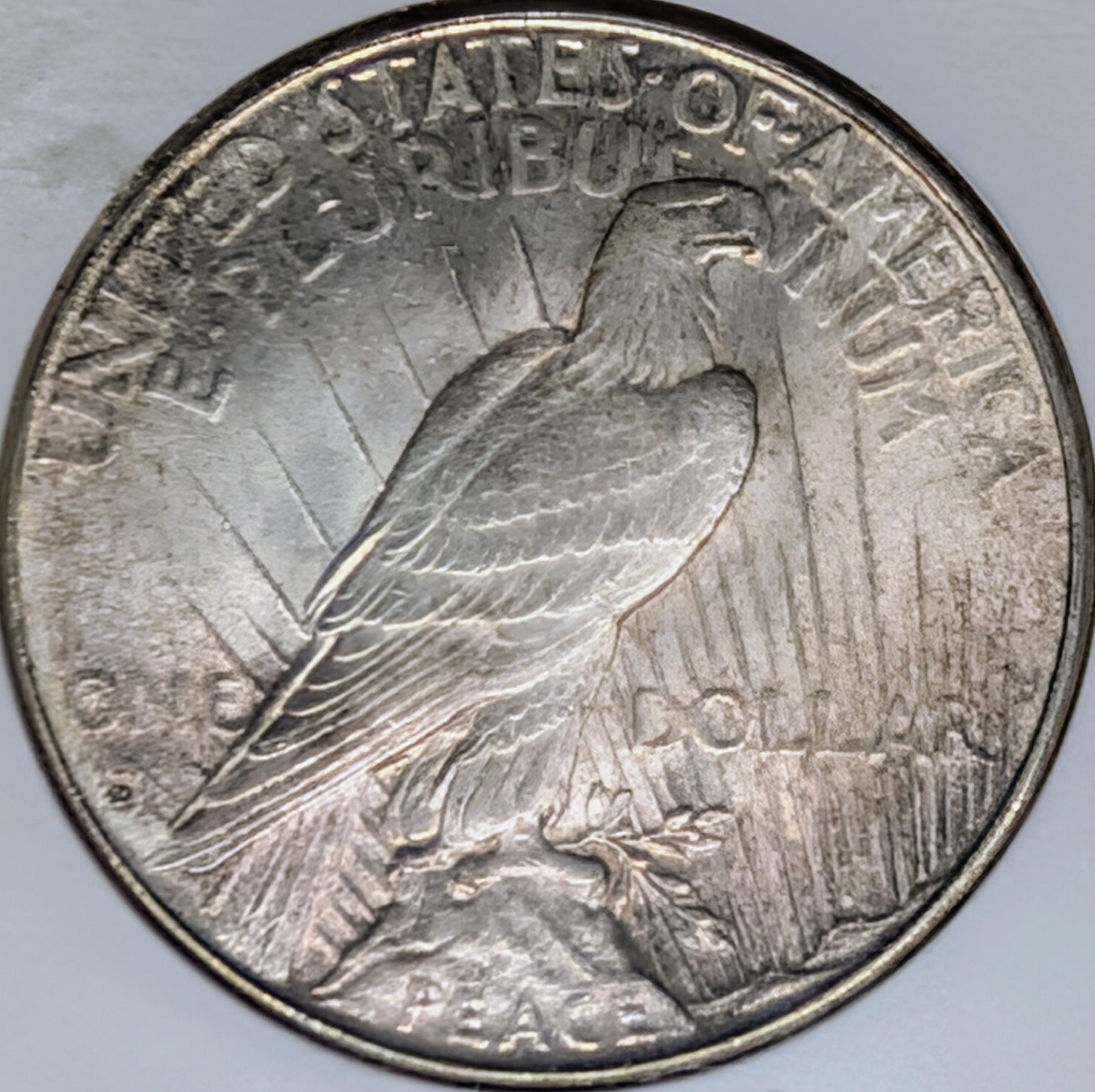 mprp7oeb-03-reverse.jpg