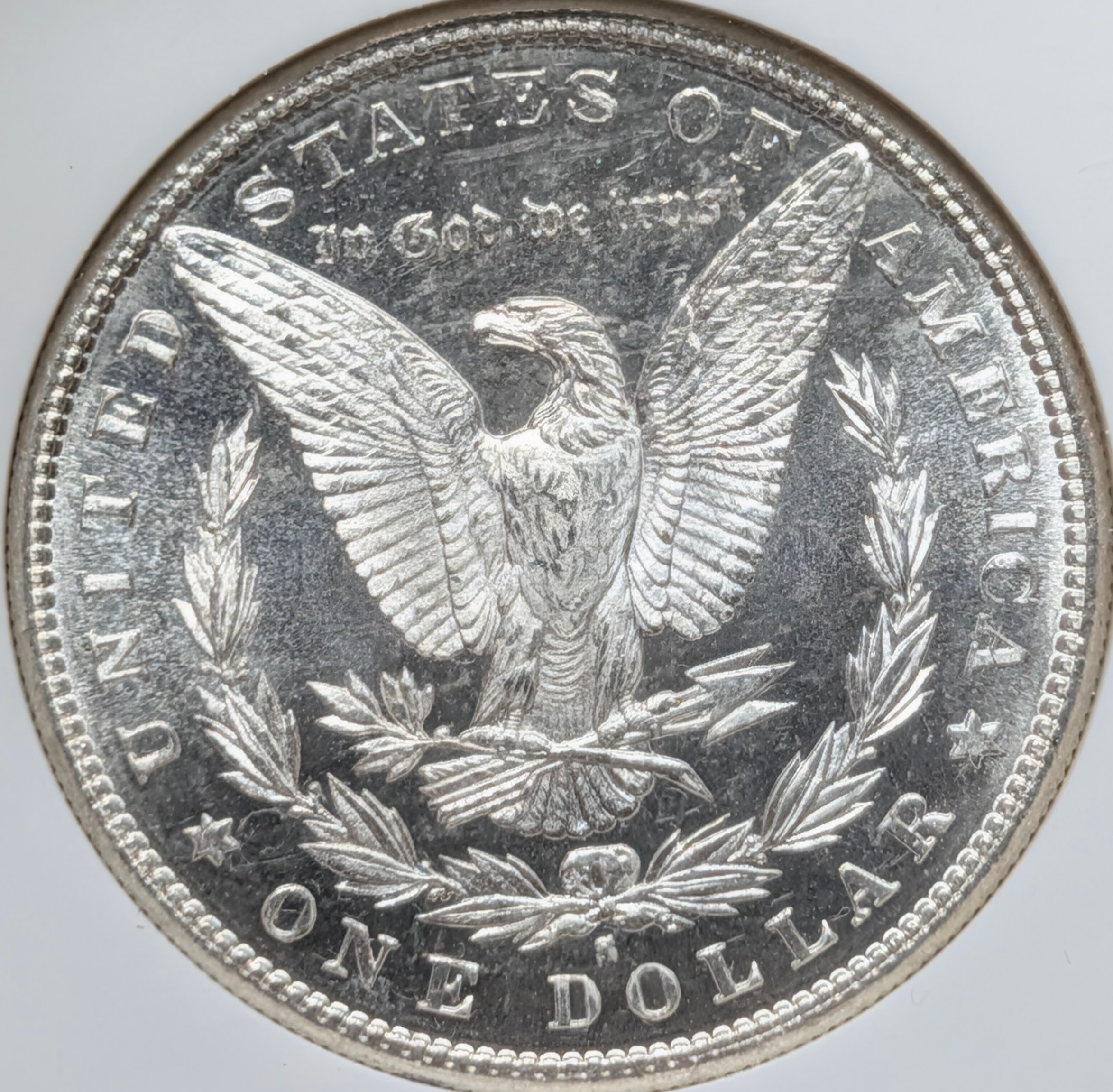 mv5kqrg7-03-reverse.jpg