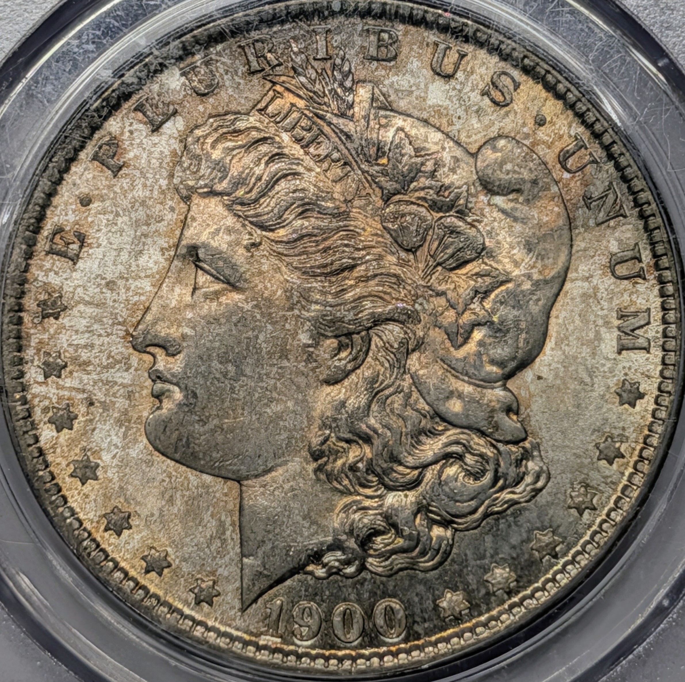 mq11k8l7-03-obverse.jpg