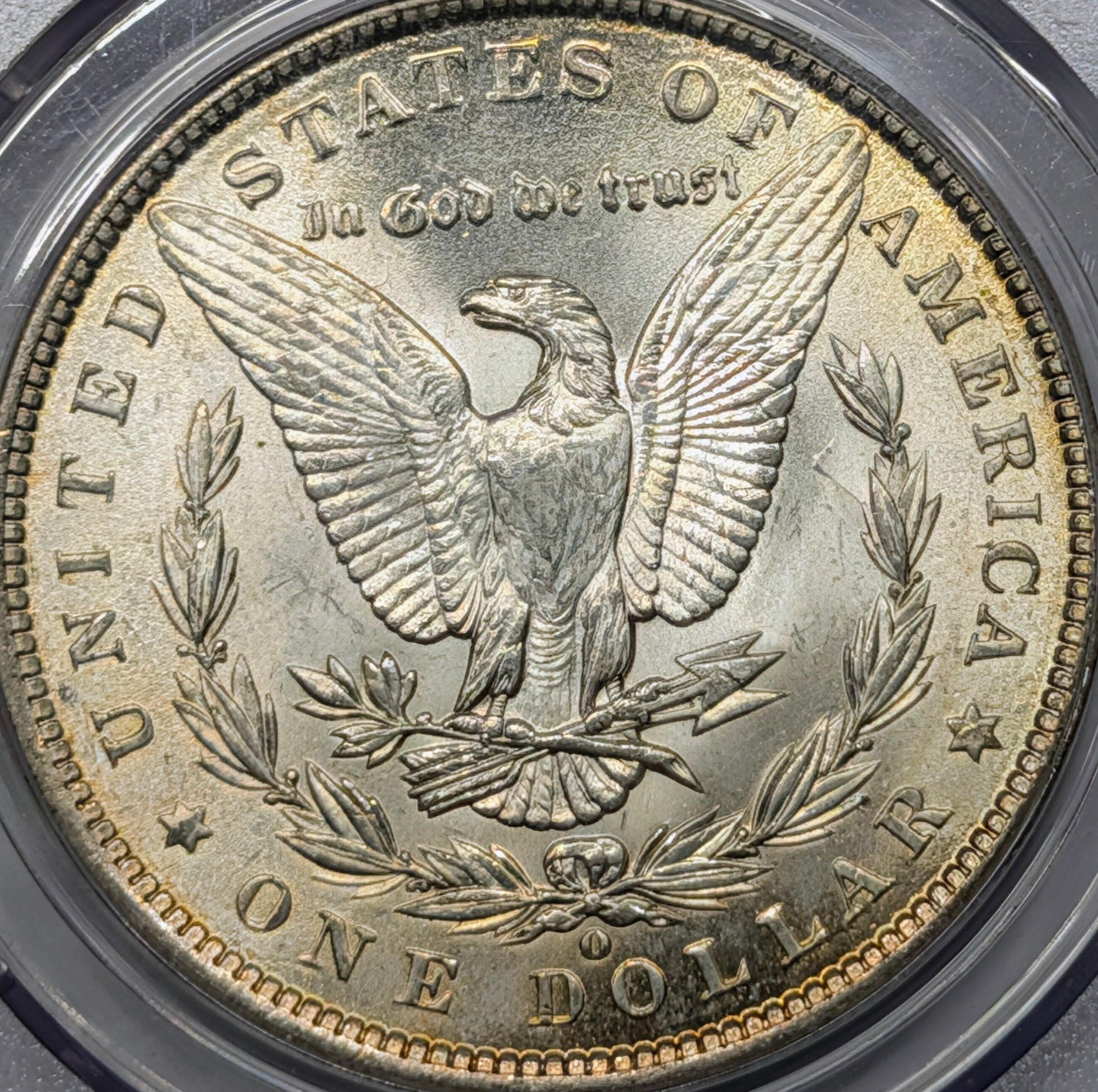 mq11k8l7-04-reverse.jpg