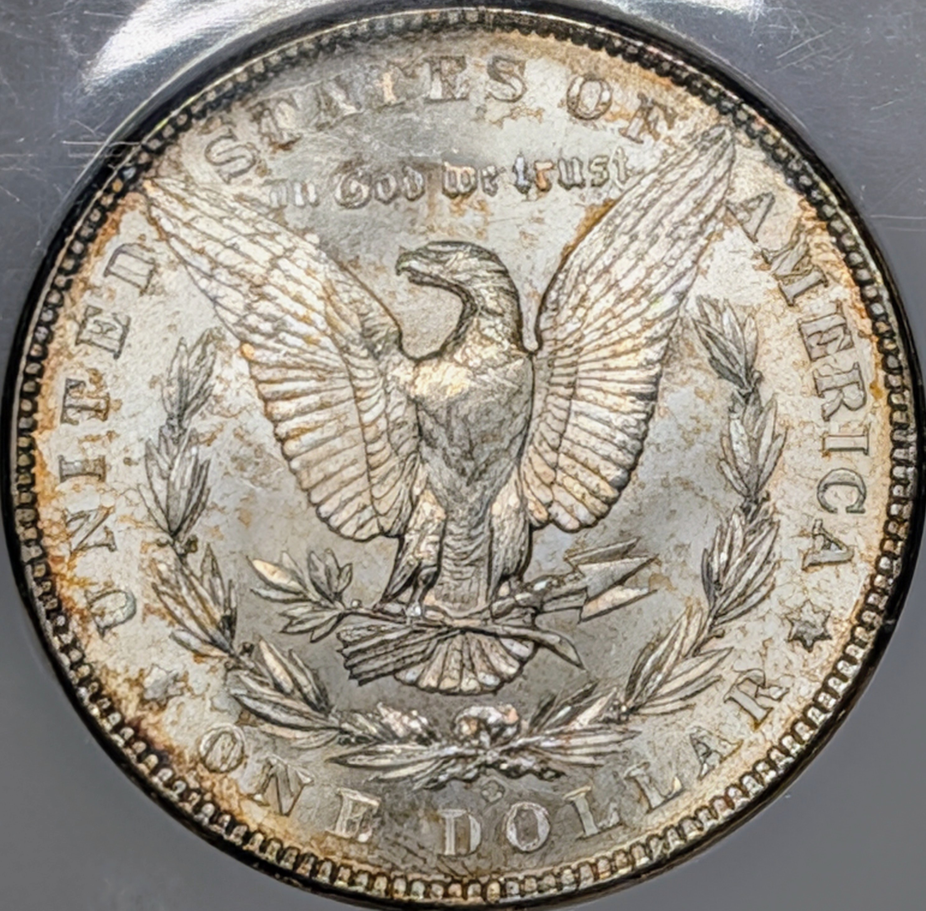 mrl7ergv-04-reverse.jpg