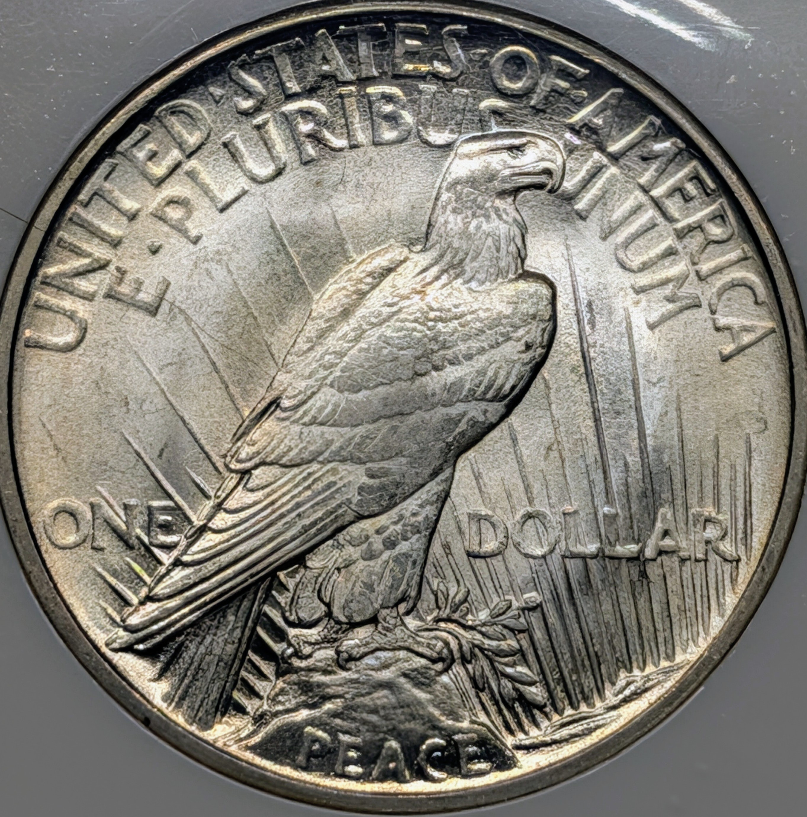 mqh0ddhu-03-reverse.jpg