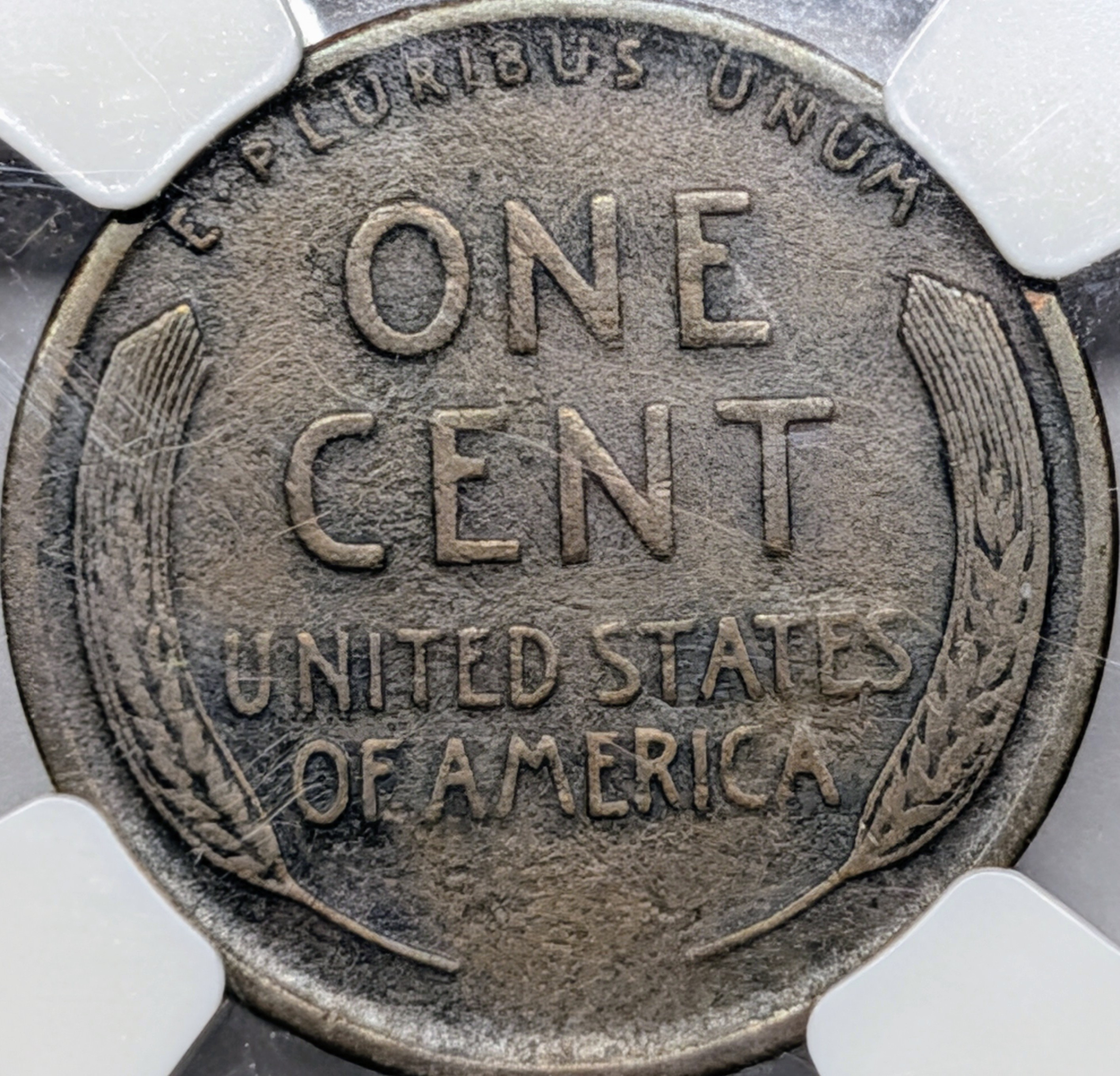 mqubcbzk-03-reverse.jpg