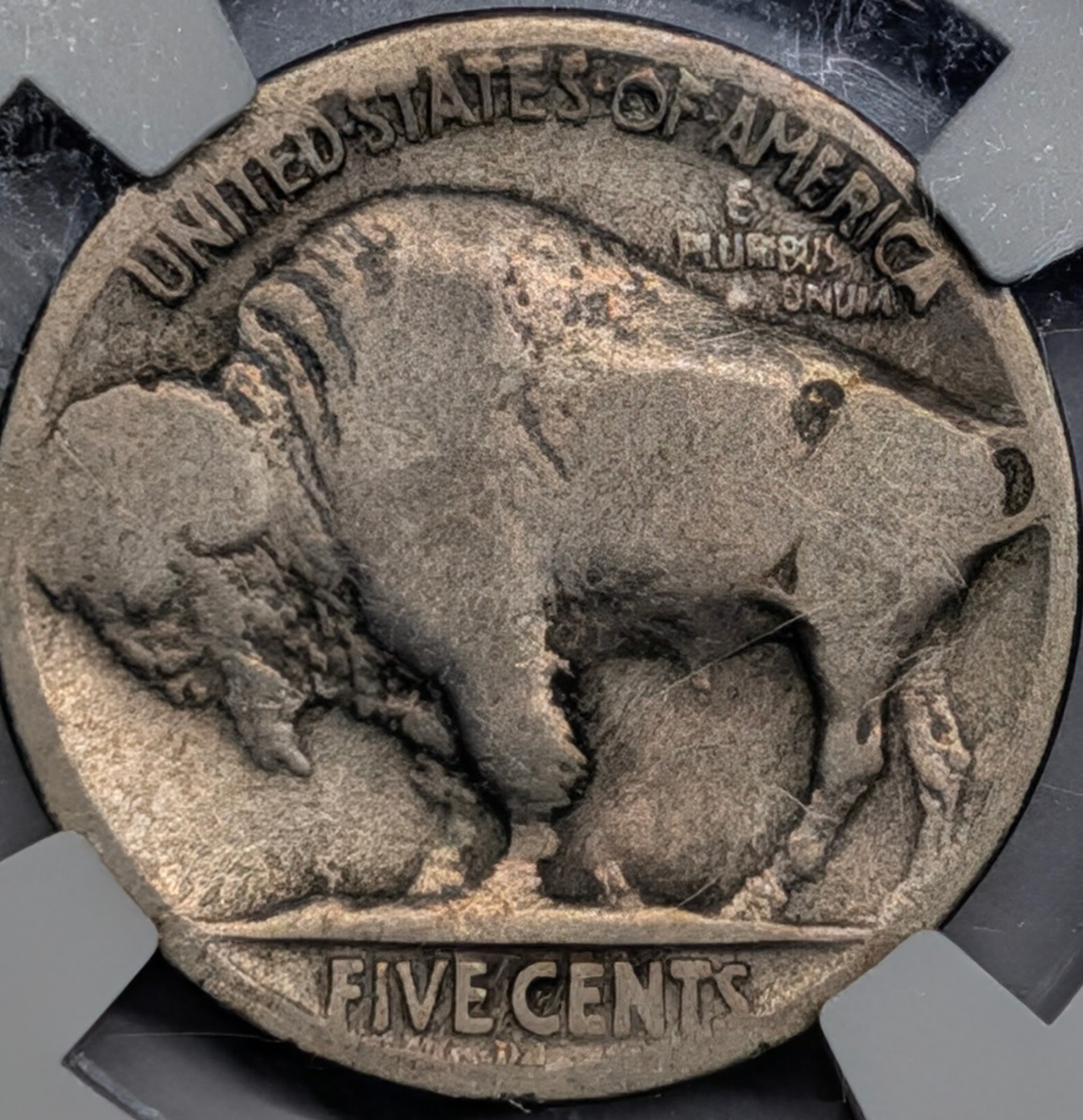 mrs5gker-02-reverse.jpg