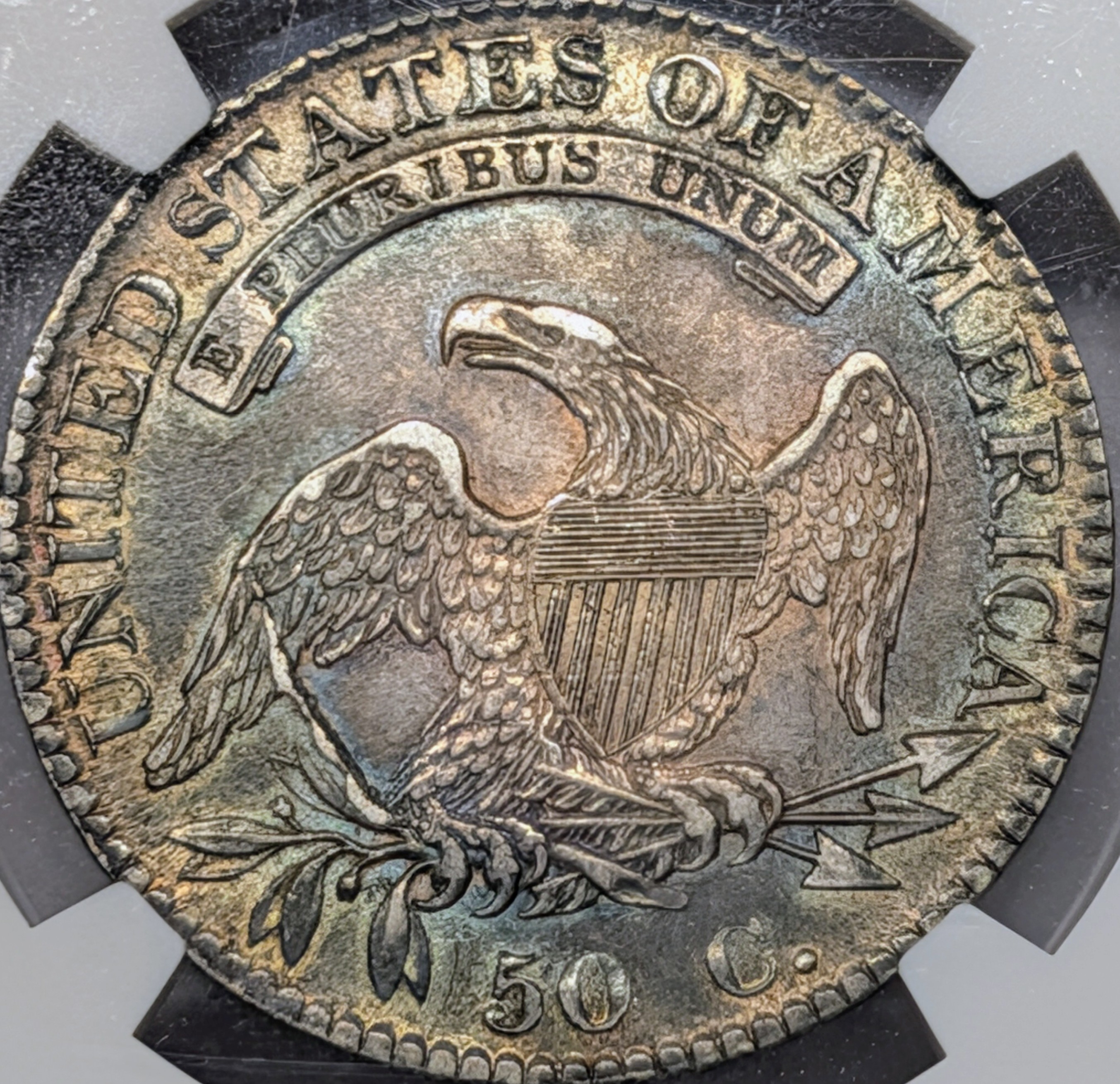 mpbziwjh-03-reverse.jpg