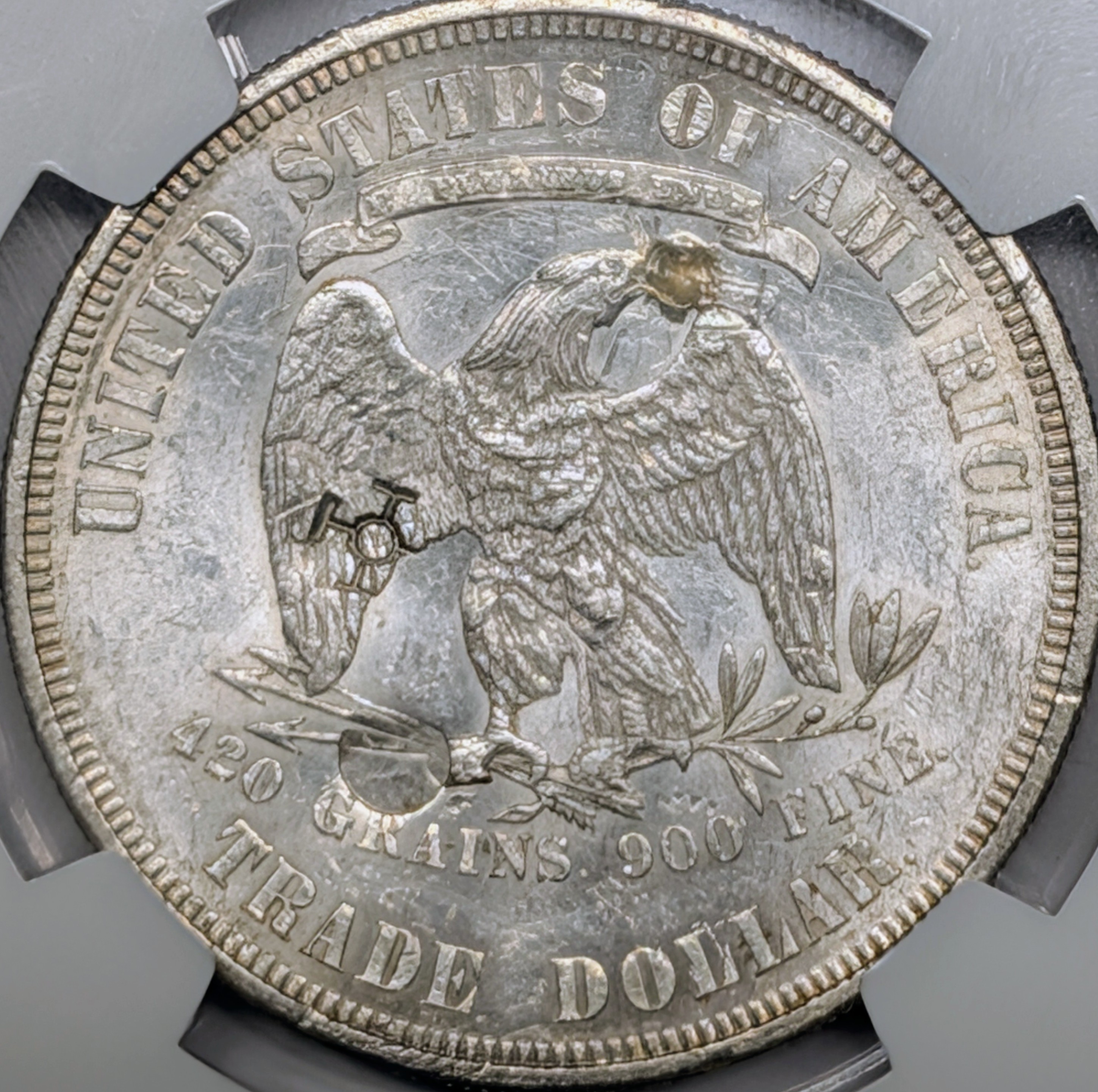 mqh0aded-03-reverse.jpg