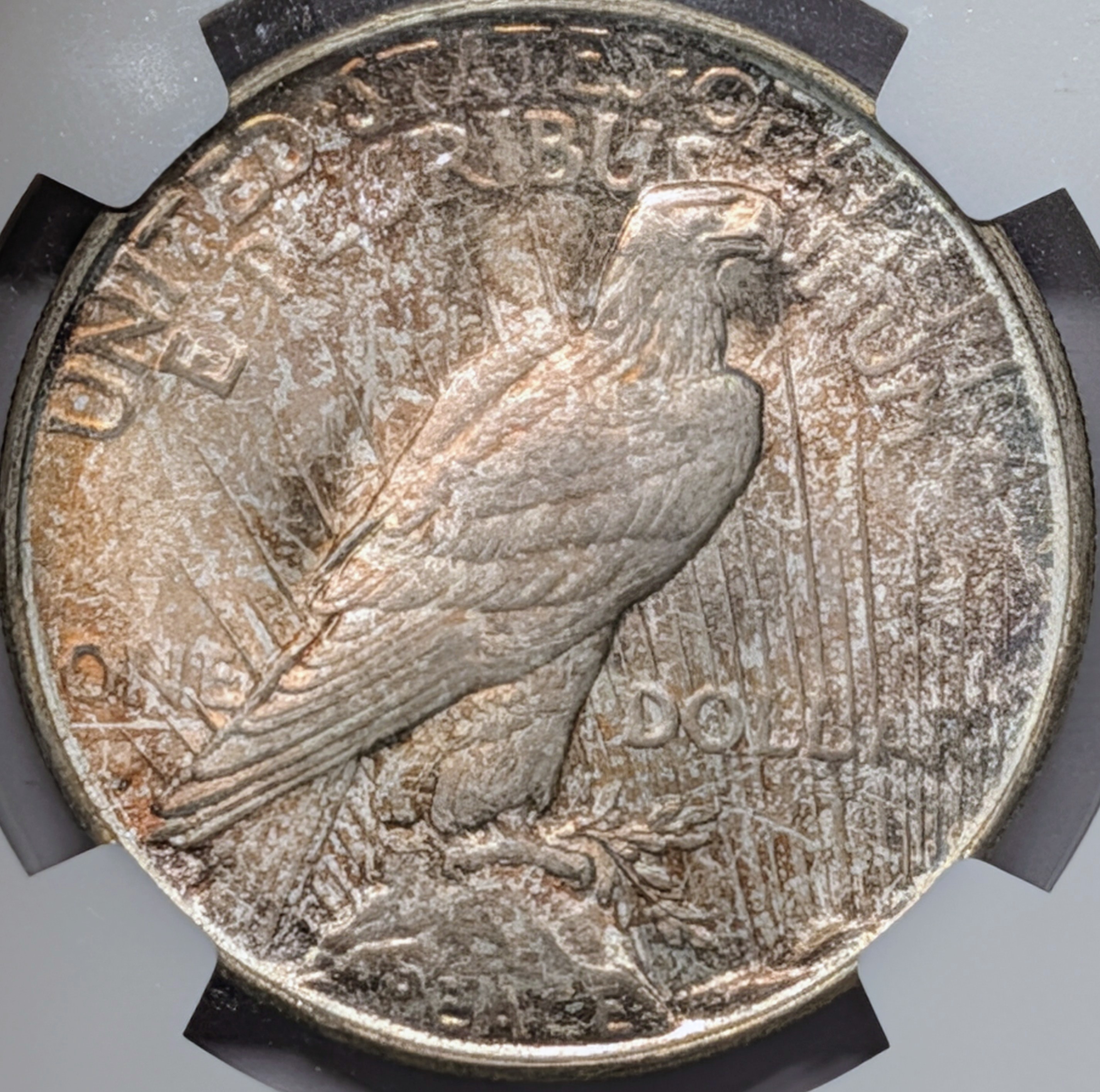 mrr61cra-03-reverse.jpg