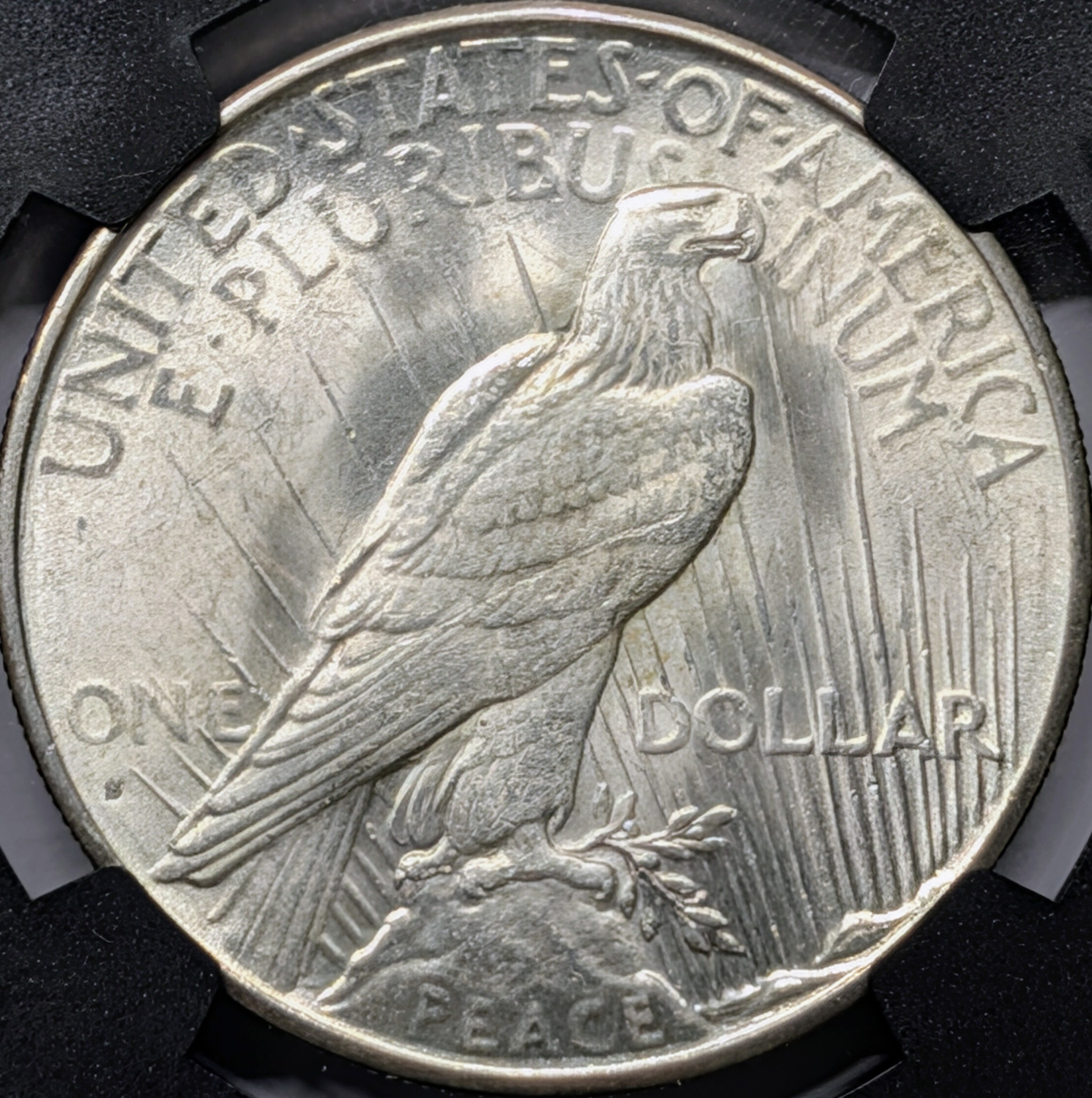 mpyc434g-03-reverse.jpg