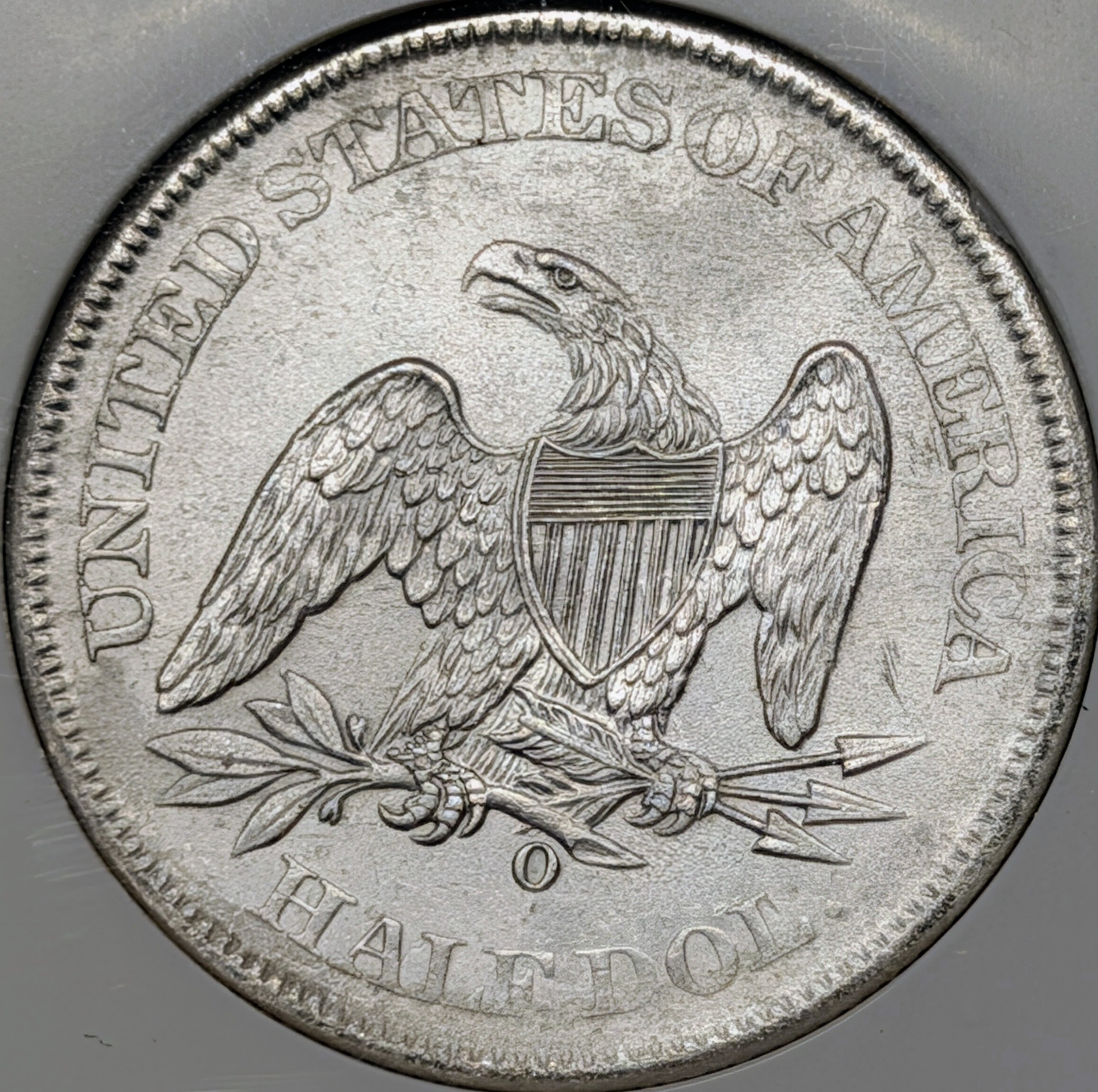 mpywpgta-03-reverse.jpg