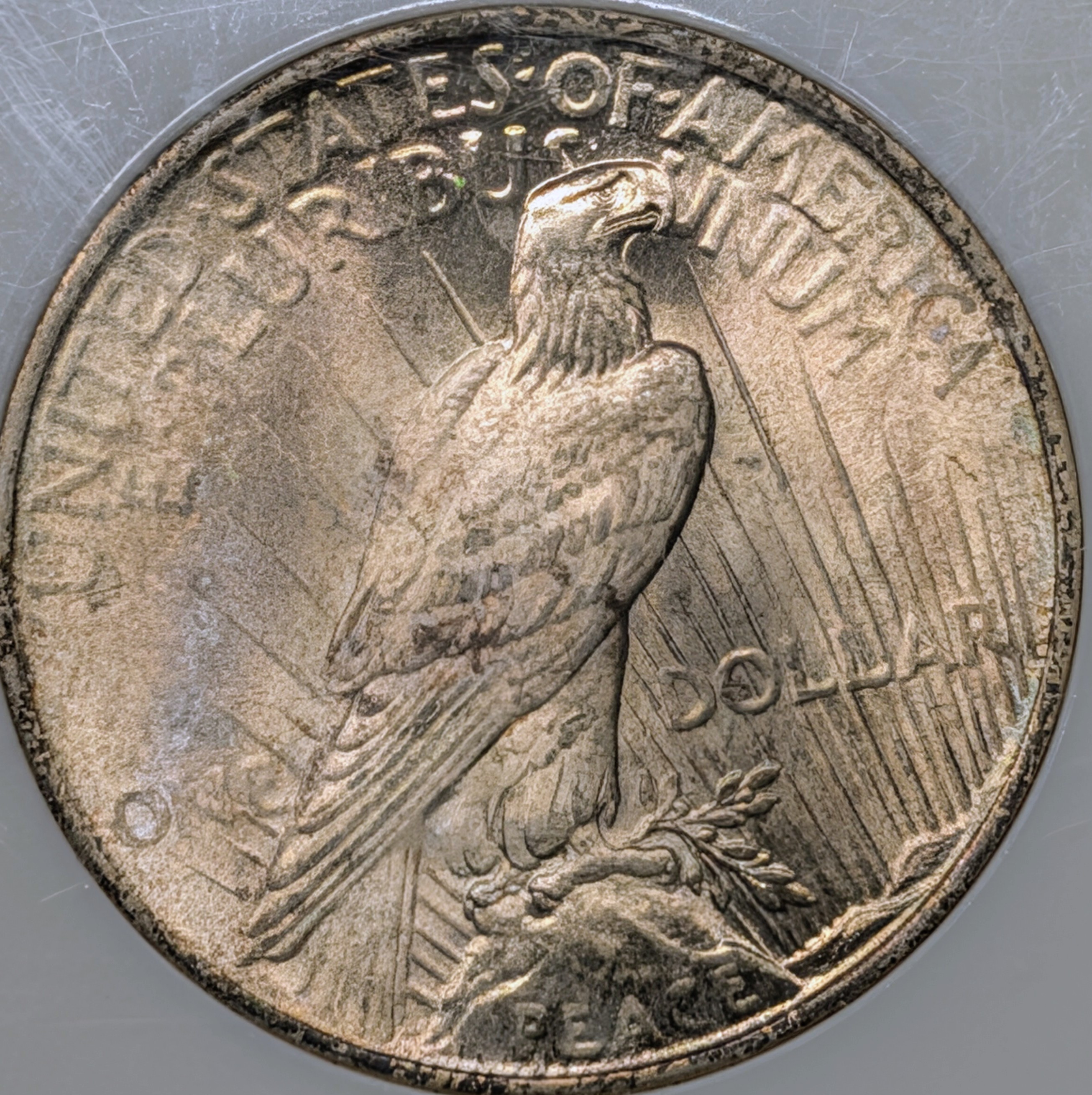 mrr61cnz-03-reverse.jpg