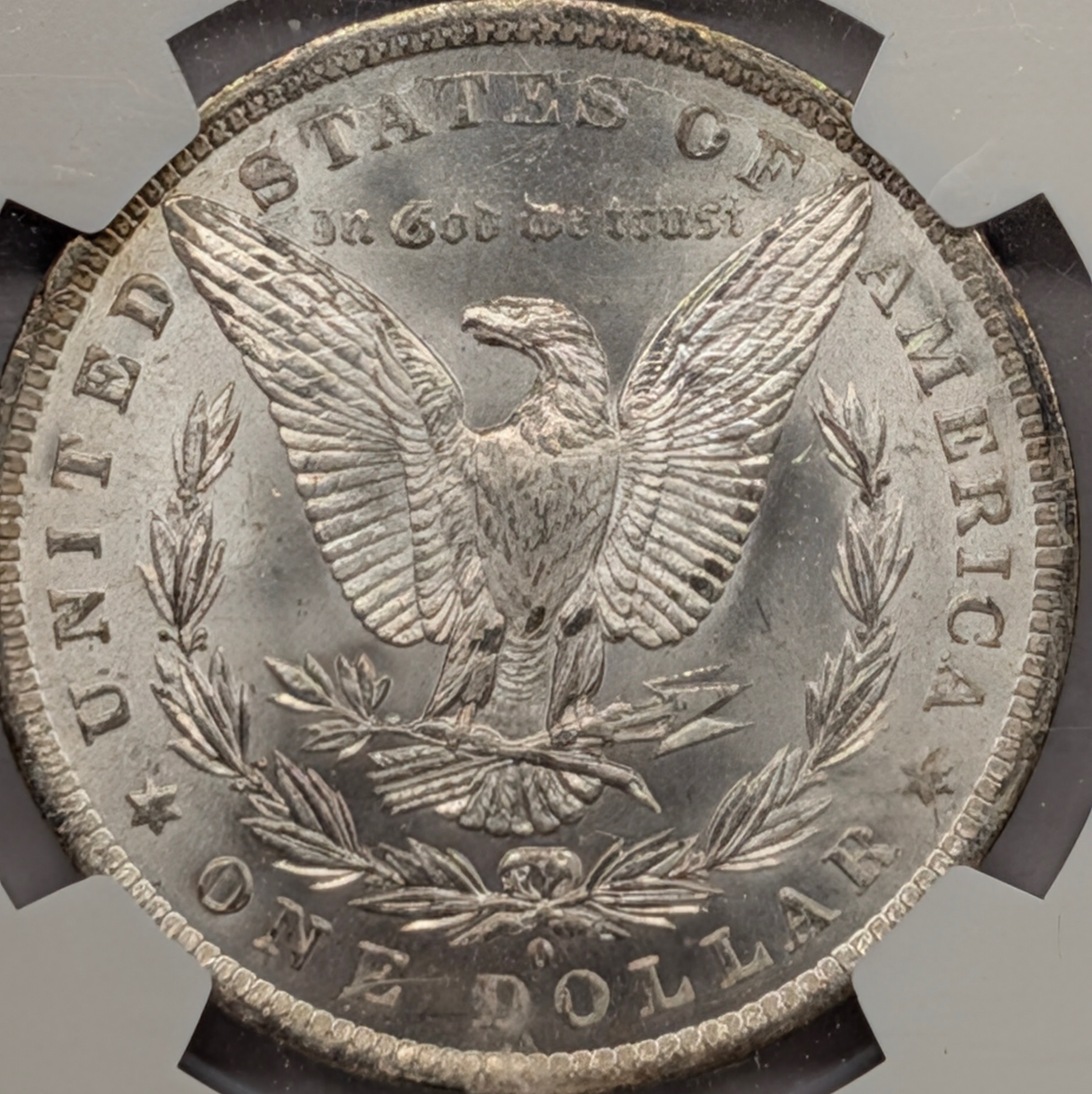 mt6orj5r-02-reverse.jpg